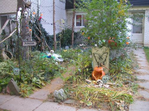 <img500*0:stuff/the%20whole%20front.jpg>