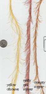 <img0*300:stuff/thread.jpg>