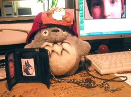 <img0*200:stuff/totoro%20is%20cool.jpg>