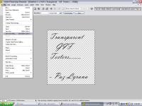 <img200*0:stuff/transparentgif5.png>