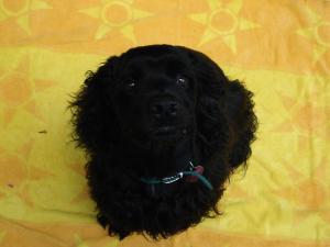 <img300*0:stuff/treatsplease%2ejpg>
