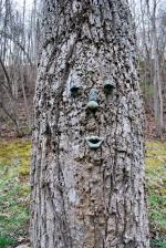 <img150*0:stuff/treeentcloseupv.jpg>