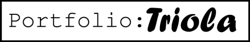 <img500*0:stuff/trinport333header.png>