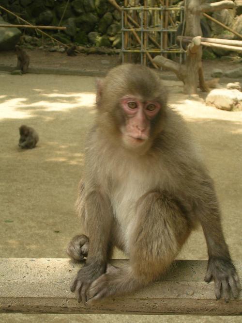 <img500*0:stuff/trtettr.jpg>