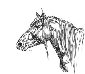 <img300*0:stuff/tscgp.jpg>