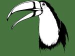 <img150*0:stuff/tucan%20copy.gif>
