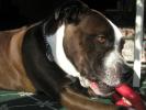 <img0*100:stuff/tuggy%20wars%201.jpg>