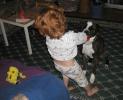 <img0*100:stuff/tuggy%20wars%2010.jpg>