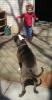 <img0*100:stuff/tuggy%20wars%2015.jpg>