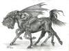 <img100*0:stuff/twin_pegasi_67345.jpg>