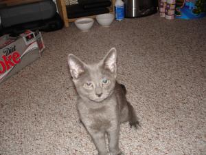 <img300*0:stuff/unagi5.jpg>