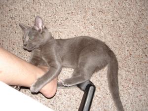 <img300*0:stuff/unagi6.jpg>