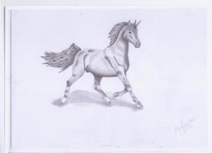 <img300*0:stuff/unicorn.jpg>