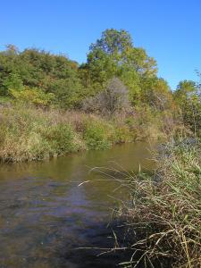 <img0*300:stuff/up%20river.jpg>
