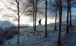 <img150*0:stuff/upthehill-triola.jpg>
