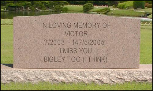 <img:stuff/vic%27s%20tombstone.jpg>