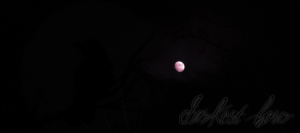 Darkest Hour