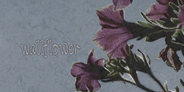 <img:stuff/vignette-wallflower.png>