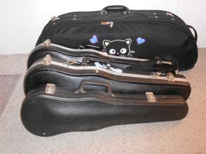 <img300*0:stuff/violacases1.5.jpg>