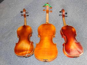 <img300*0:stuff/violagroupback.jpg>