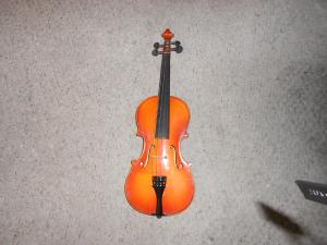 <img300*0:stuff/vlnfront.jpg>
