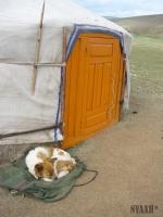 <img150*0:stuff/wL1010146.jpg>