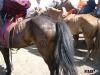 <img100*0:stuff/wL1010186.jpg>