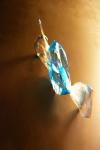 <img100*150:stuff/waste_hunt%20copy2.jpg>