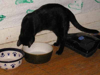 <img0*300:stuff/water%20play%202.jpg>