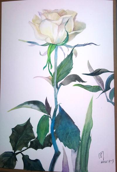 watercolor