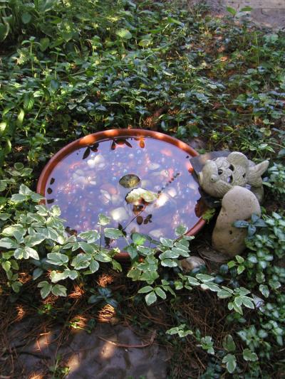 <img400*0:http://elftown.heddate.com/stuff/watergarden%20.jpg>