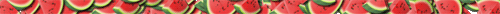 <img:stuff/watermellonjitdiv.gof.gif>
