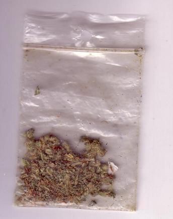 <img:stuff/weed-pot.jpg>
