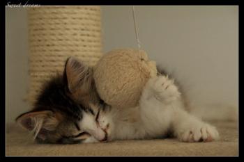 <img350*0:stuff/weetpcmot1.jpg>
