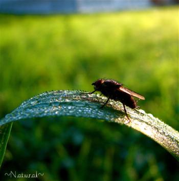<img350*0:stuff/weetpcnatural.jpg>