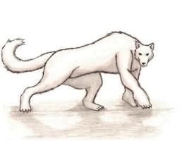 <img0*200:stuff/whitewerewolf.jpg>
