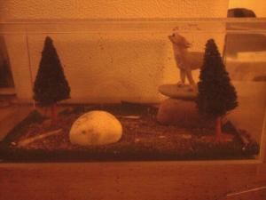<img300*0:http://elftown.heddate.com/stuff/wolf_habitat_view_1.jpg>