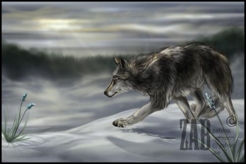 <img500*0:http://elftown.heddate.com/stuff/wolfiewithsnoe.jpg>