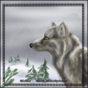 <img300*0:stuff/wolfinwinterzab.jpg>