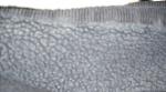 <img150*0:stuff/wool.jpg>