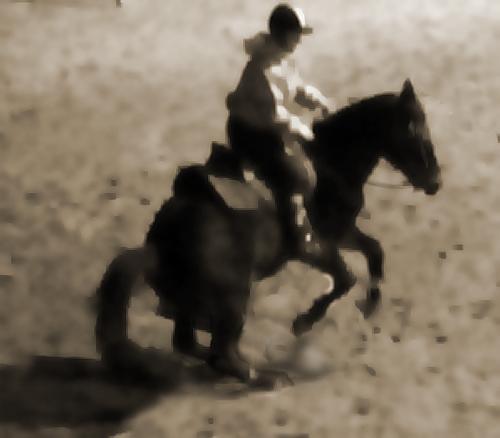 <img0*438:stuff/x89CV.jpg>