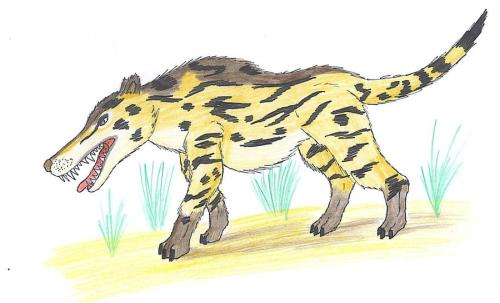 <img500*303:stuff/xERLZop.jpg>
