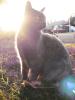xM-weioSD