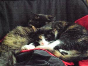 <img300*0:stuff/xNMAS23fg.jpg>