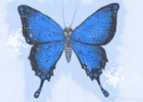 xWENMVB