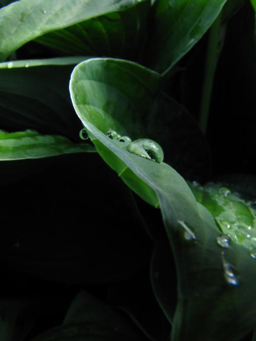 <img500*666:stuff/xXCAS45.jpg>
