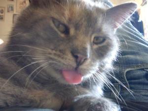 <img300*0:stuff/xXCdfyu.jpg>