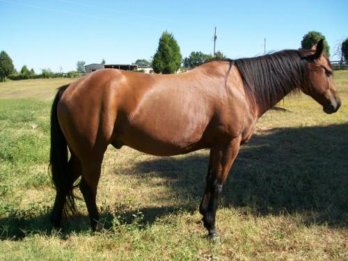 <img500*375:stuff/xYUDFKL.jpg>