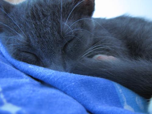 <img500*375:stuff/xasnm-_.jpg>
