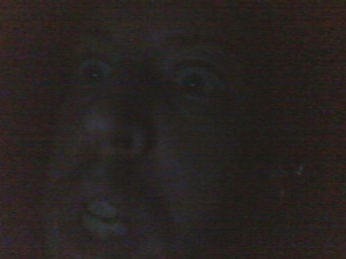 <img500*375:stuff/xbnKL0q.jpg>